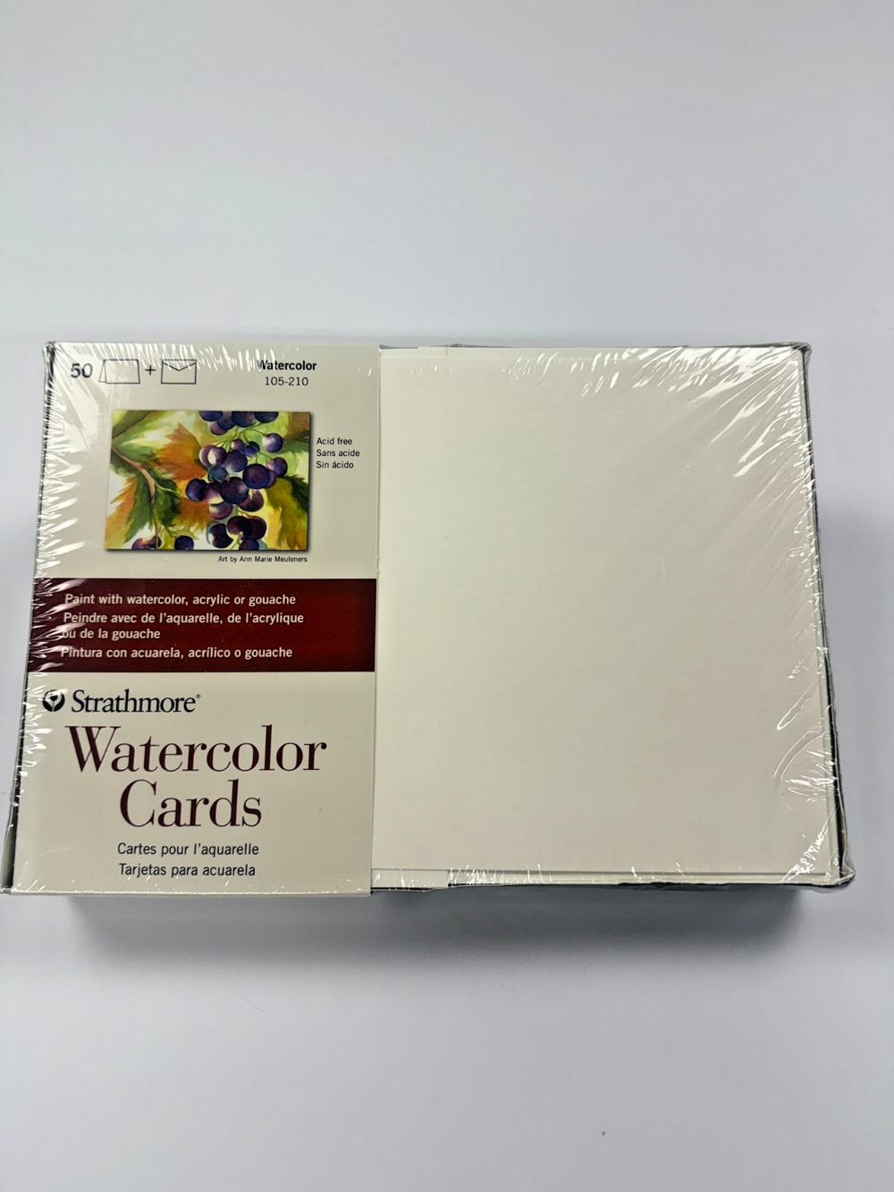 Strathmore 105-210 Watercolor Cards & Envelopes 50 Pack Cold Press 140 lb NIP